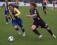 Mandorlini in azione