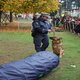 autumnia 2009