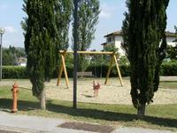 Per garantire la sicurezza il 23 luglio sarà necessario abbattere due pini in via Galilei.