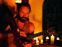 Sting