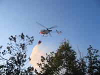 Incendi: si avvicina il periodo di massima allerta 