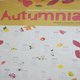 autumnia 2009